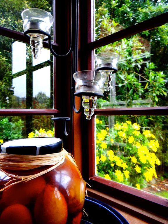 Arden Country House Waitati Exterior photo