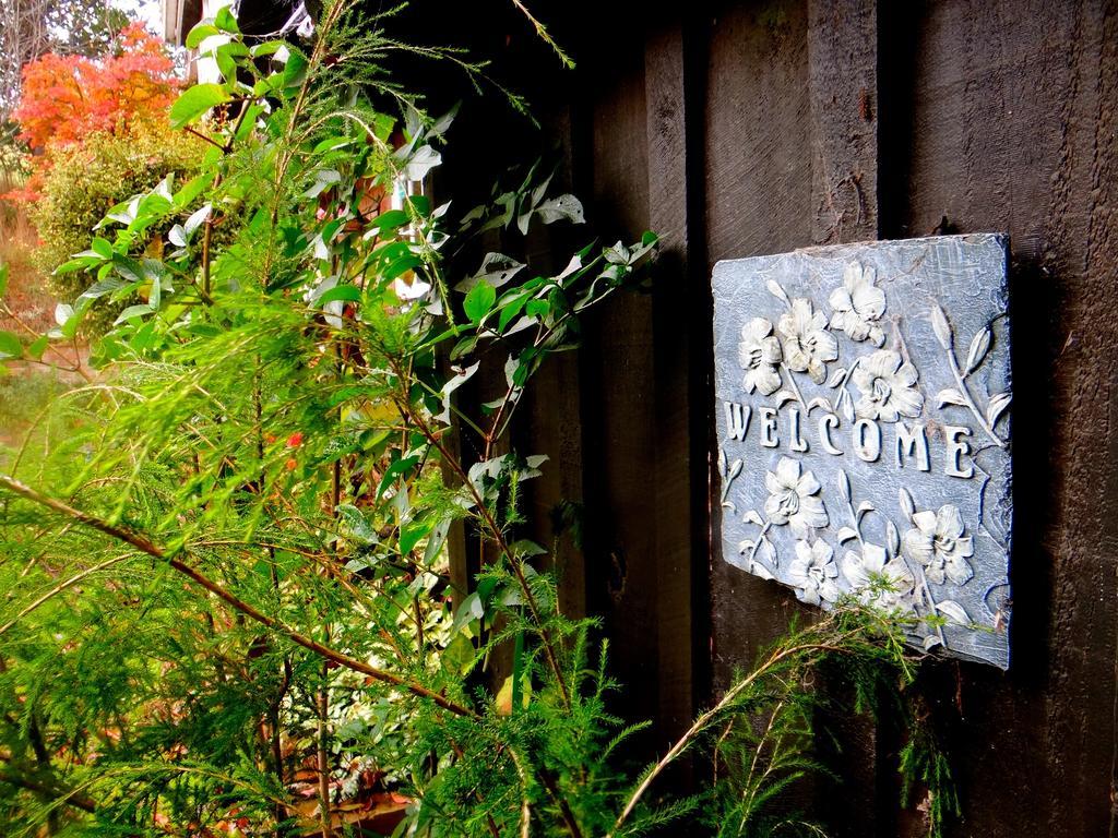 Arden Country House Waitati Exterior photo