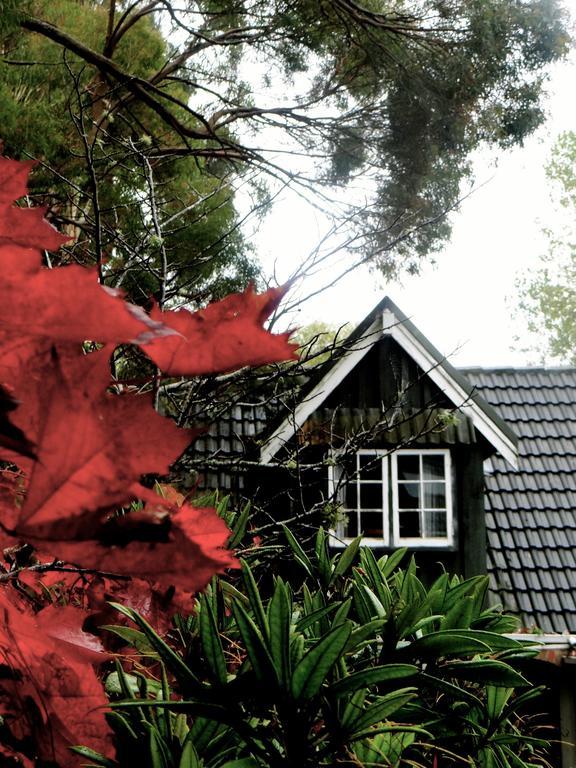 Arden Country House Waitati Exterior photo