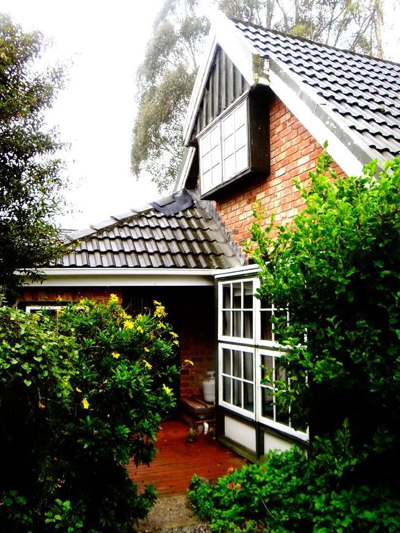Arden Country House Waitati Exterior photo