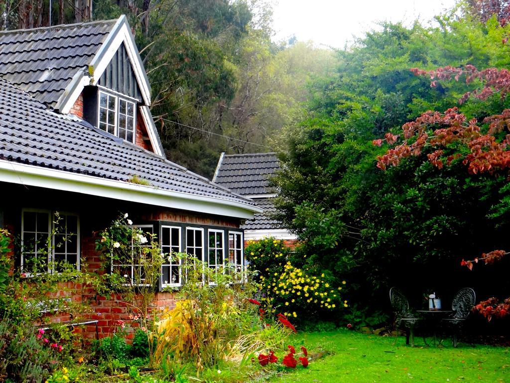 Arden Country House Waitati Exterior photo